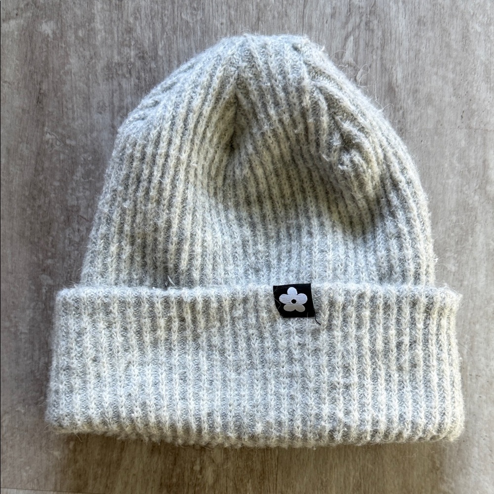 H&M women’s gray, ribbed beanie